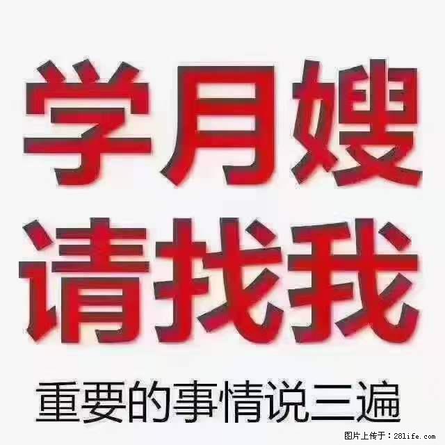 为什么要学习月嫂,育婴师? - 新手上路 - 甘南生活社区 - 甘南28生活网 gn.28life.com