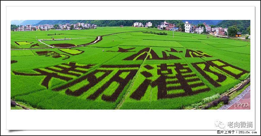 【春天,广西桂林灌阳县向您发出邀请!】开篇 - 游山玩水 - 甘南生活社区 - 甘南28生活网 gn.28life.com