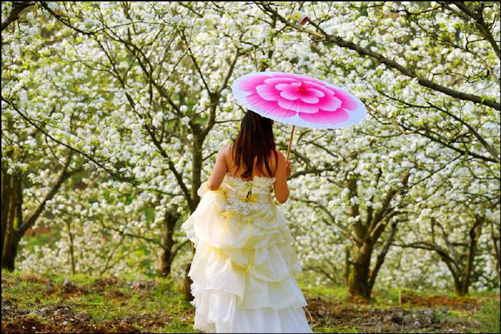 【春天,广西桂林灌阳县向您发出邀请!】我们在灌阳看梨花 - 游山玩水 - 甘南生活社区 - 甘南28生活网 gn.28life.com