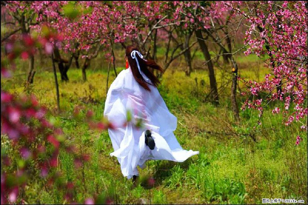 【春天,广西桂林灌阳县向您发出邀请!】官庄村有个醉美的桃花园 - 游山玩水 - 甘南生活社区 - 甘南28生活网 gn.28life.com