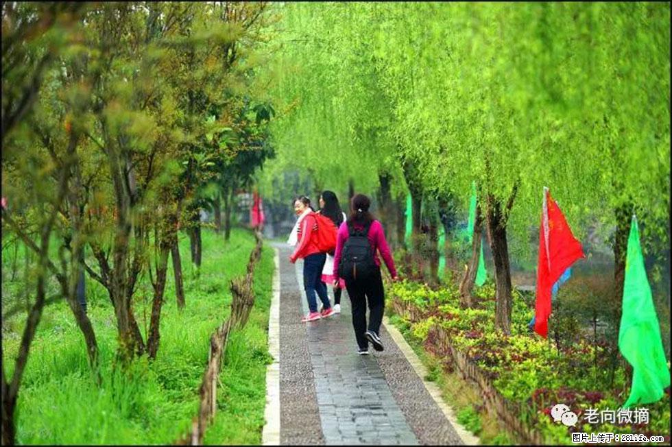 【春天,广西桂林灌阳县向您发出邀请!】江口老街又逢春 - 游山玩水 - 甘南生活社区 - 甘南28生活网 gn.28life.com