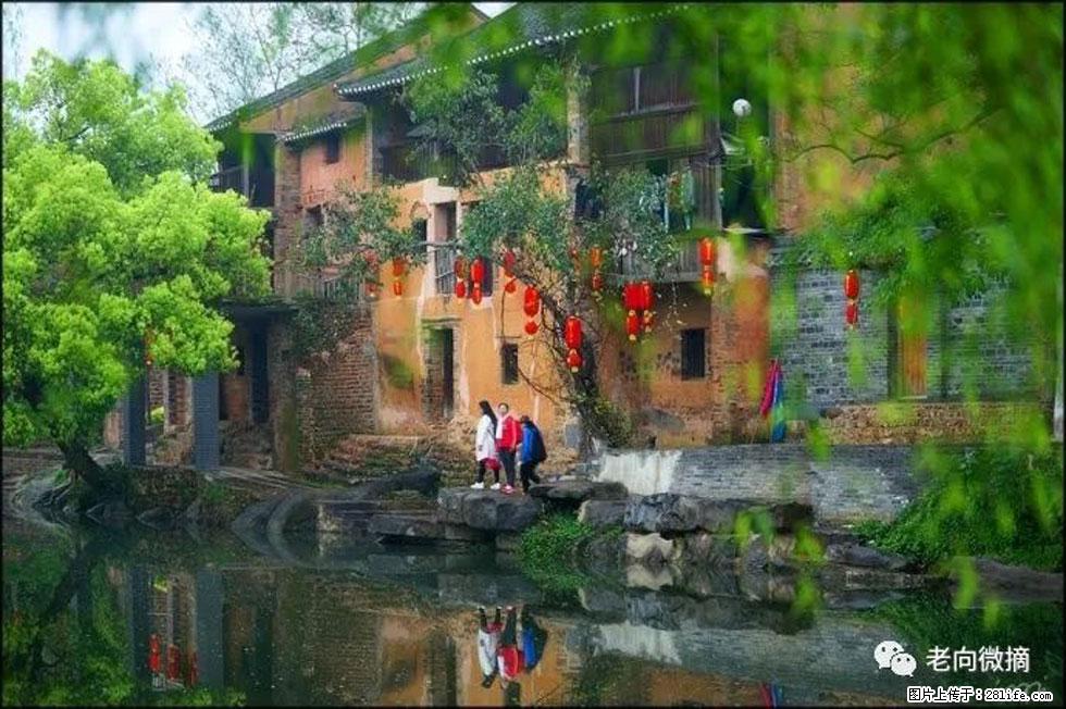 【春天,广西桂林灌阳县向您发出邀请!】江口老街又逢春 - 游山玩水 - 甘南生活社区 - 甘南28生活网 gn.28life.com