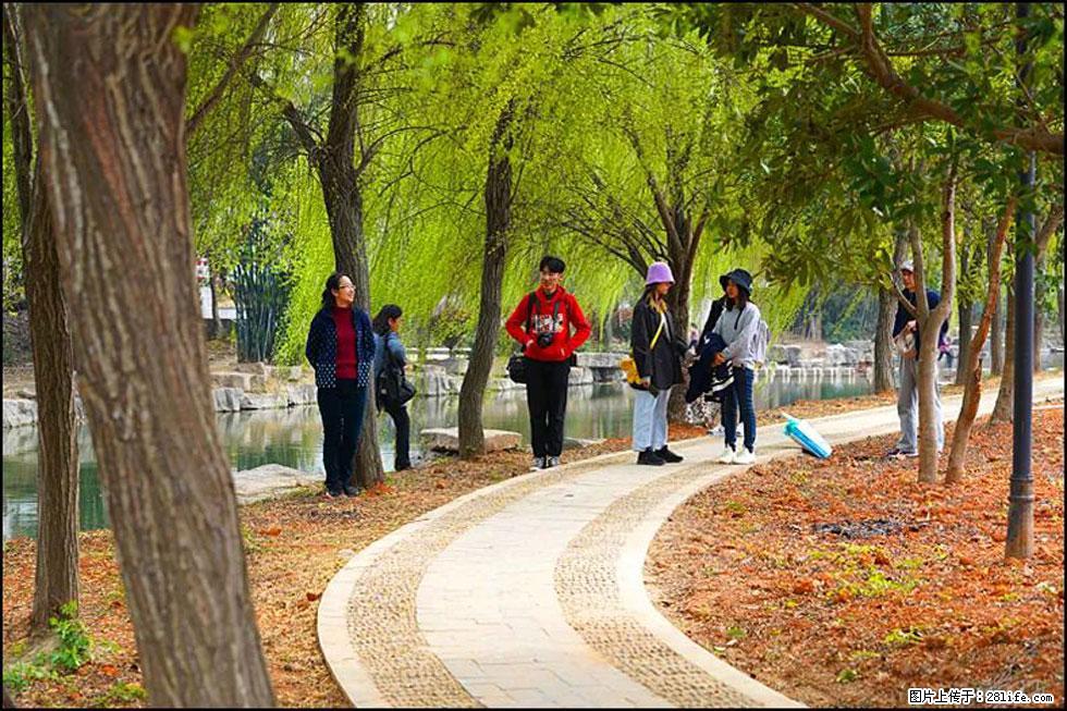 【春天,广西桂林灌阳县向您发出邀请!】江口老街又逢春 - 游山玩水 - 甘南生活社区 - 甘南28生活网 gn.28life.com