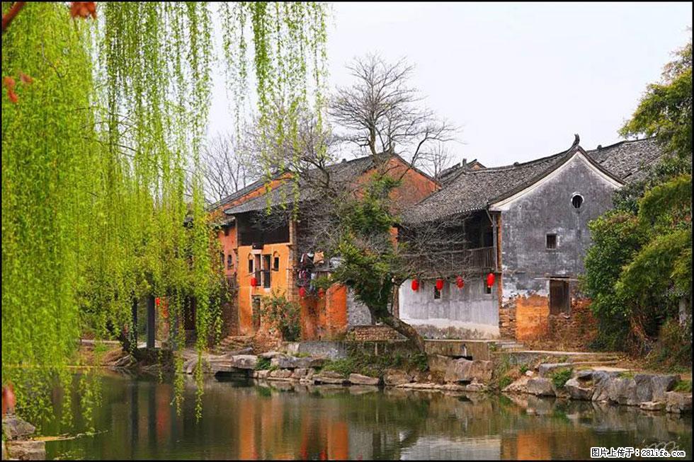 【春天,广西桂林灌阳县向您发出邀请!】江口老街又逢春 - 游山玩水 - 甘南生活社区 - 甘南28生活网 gn.28life.com