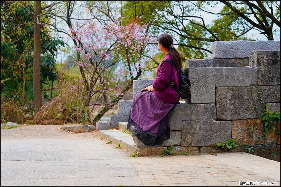 【春天,广西桂林灌阳县向您发出邀请!】江口老街又逢春 - 游山玩水 - 甘南生活社区 - 甘南28生活网 gn.28life.com