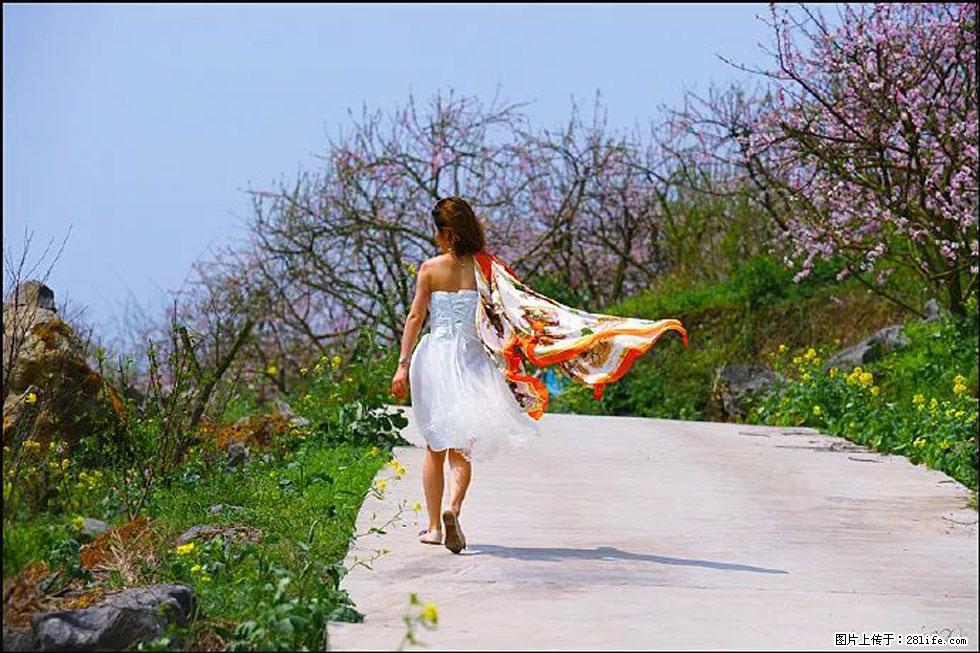 【春天,广西桂林灌阳县向您发出邀请!】望月岭上桃花开 - 游山玩水 - 甘南生活社区 - 甘南28生活网 gn.28life.com