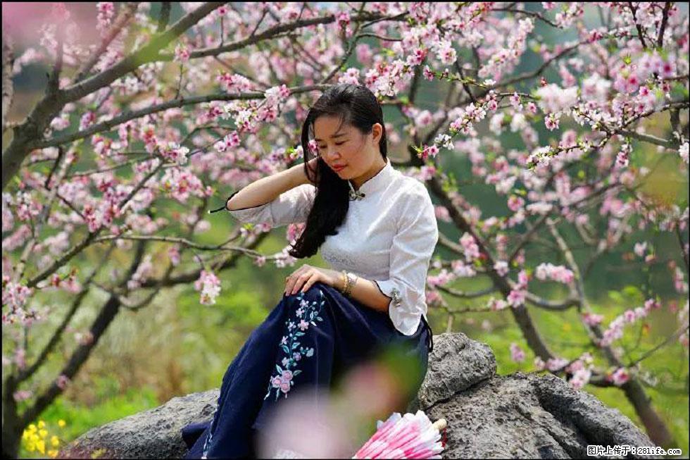 【春天,广西桂林灌阳县向您发出邀请!】望月岭上桃花开 - 游山玩水 - 甘南生活社区 - 甘南28生活网 gn.28life.com