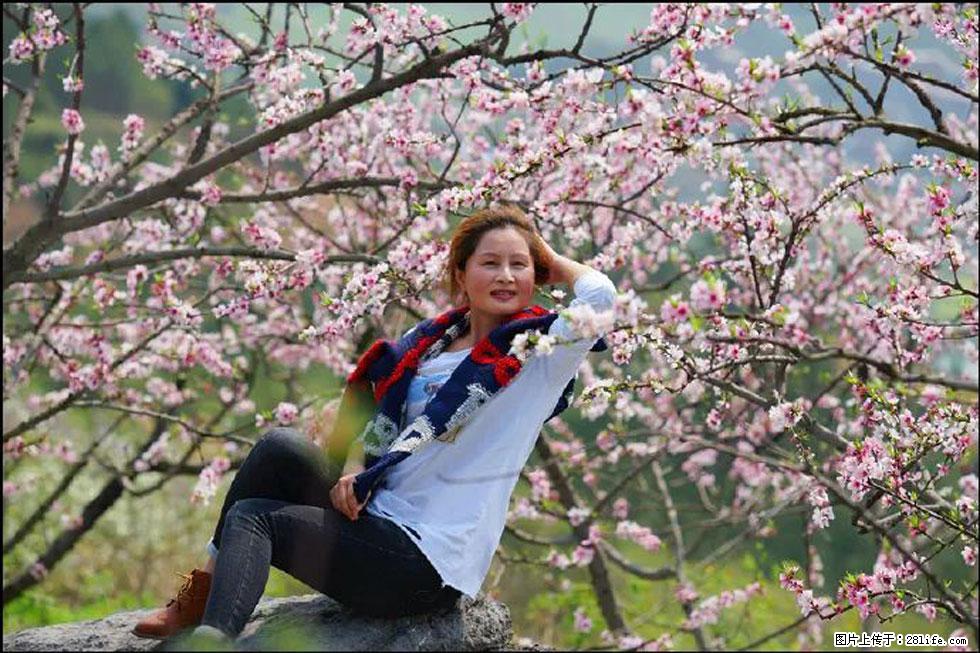 【春天,广西桂林灌阳县向您发出邀请!】望月岭上桃花开 - 游山玩水 - 甘南生活社区 - 甘南28生活网 gn.28life.com