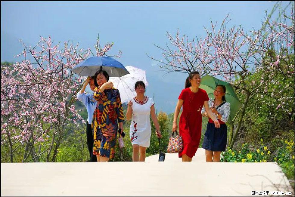 【春天,广西桂林灌阳县向您发出邀请!】望月岭上桃花开 - 游山玩水 - 甘南生活社区 - 甘南28生活网 gn.28life.com