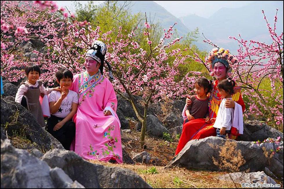 【春天,广西桂林灌阳县向您发出邀请!】望月岭上桃花开 - 游山玩水 - 甘南生活社区 - 甘南28生活网 gn.28life.com