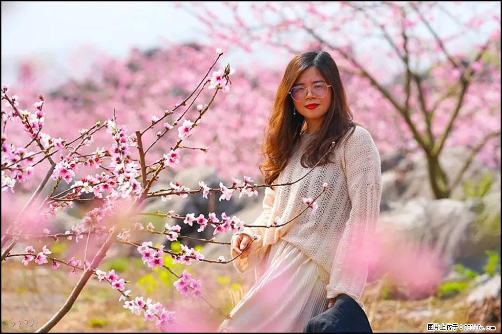 【春天,广西桂林灌阳县向您发出邀请!】望月岭上桃花开 - 游山玩水 - 甘南生活社区 - 甘南28生活网 gn.28life.com