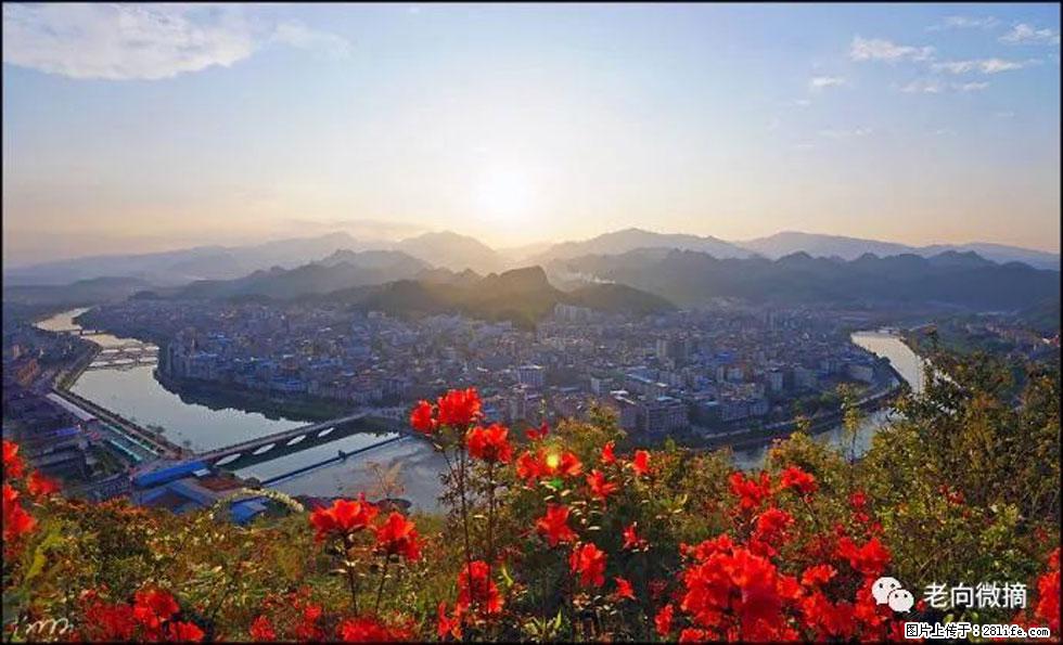 【春天,广西桂林灌阳县向您发出邀请!】登麒麟山,相约映山红 - 游山玩水 - 甘南生活社区 - 甘南28生活网 gn.28life.com