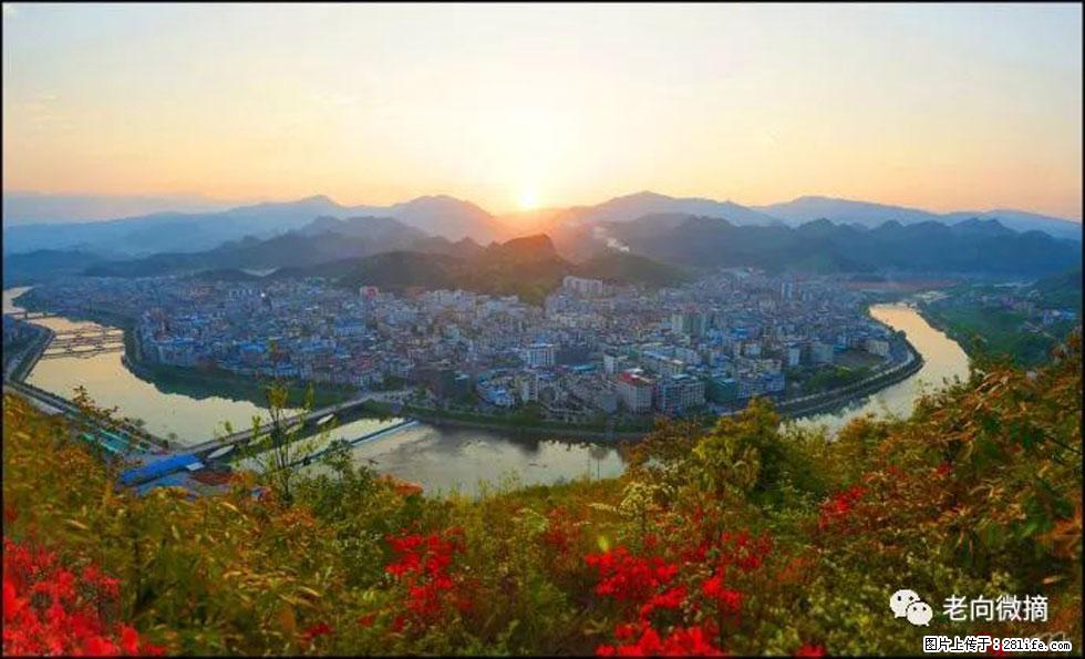 【春天,广西桂林灌阳县向您发出邀请!】登麒麟山,相约映山红 - 游山玩水 - 甘南生活社区 - 甘南28生活网 gn.28life.com