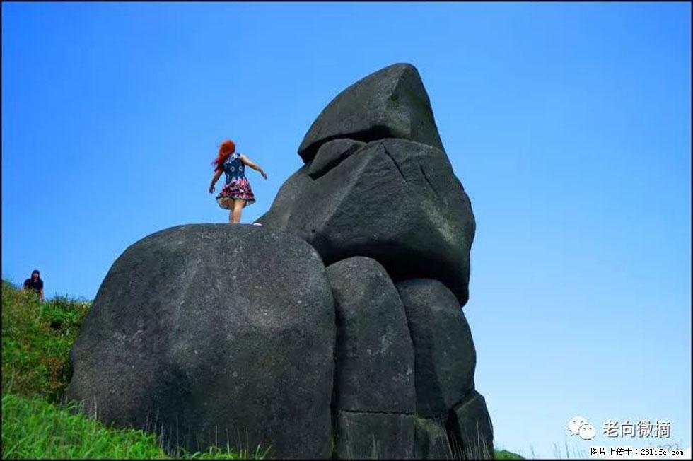 【春天,广西桂林灌阳县向您发出邀请!】宝盖山上映山红 - 游山玩水 - 甘南生活社区 - 甘南28生活网 gn.28life.com