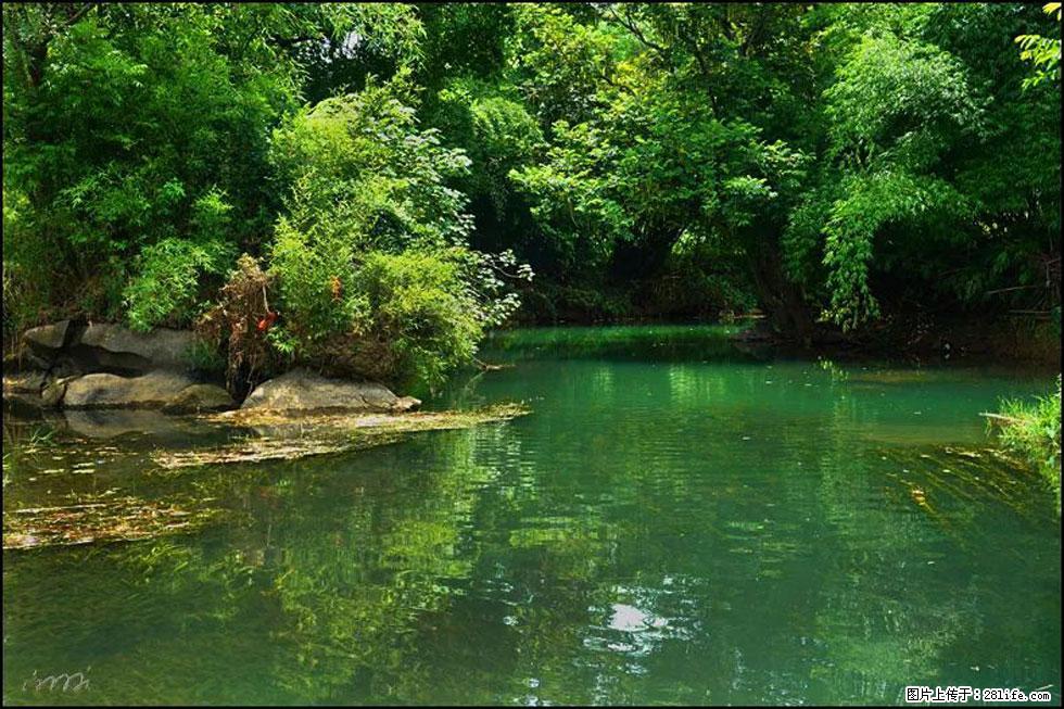 【春天，广西桂林灌阳县向您发出邀请！】如梦似幻莲溪庐 - 游山玩水 - 甘南生活社区 - 甘南28生活网 gn.28life.com