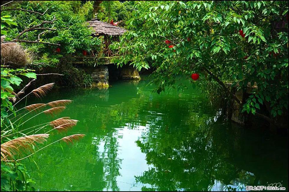 【春天，广西桂林灌阳县向您发出邀请！】如梦似幻莲溪庐 - 游山玩水 - 甘南生活社区 - 甘南28生活网 gn.28life.com