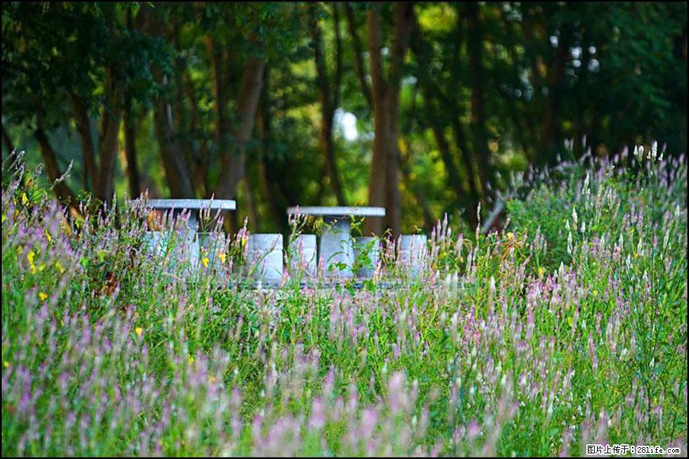 【春天,广西桂林灌阳县向您发出邀请!】熊家寨湿地公园 - 游山玩水 - 甘南生活社区 - 甘南28生活网 gn.28life.com