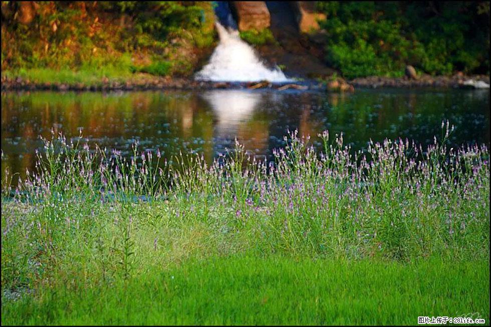 【春天,广西桂林灌阳县向您发出邀请!】熊家寨湿地公园 - 游山玩水 - 甘南生活社区 - 甘南28生活网 gn.28life.com