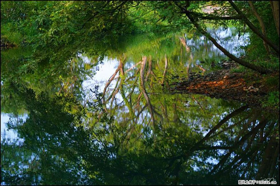 【春天,广西桂林灌阳县向您发出邀请!】熊家寨湿地公园 - 游山玩水 - 甘南生活社区 - 甘南28生活网 gn.28life.com