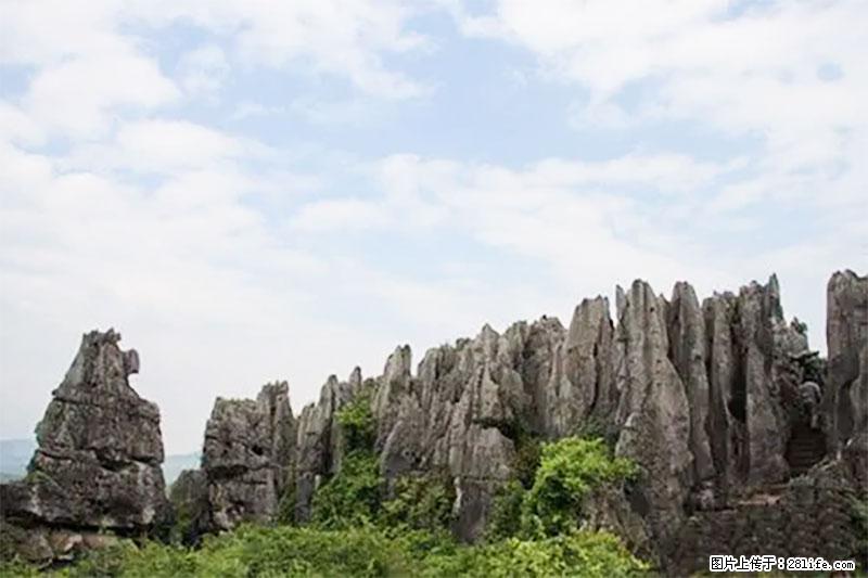 桂林旅游名城景点:灌阳文市石林 - 游山玩水 - 甘南生活社区 - 甘南28生活网 gn.28life.com