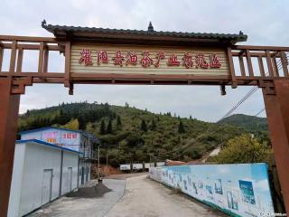 【灌阳县油茶产业示范区】一个有着充实的精神生活的人,对待身外之物自会有一种淡泊的态度 - 甘南28生活网 gn.28life.com
