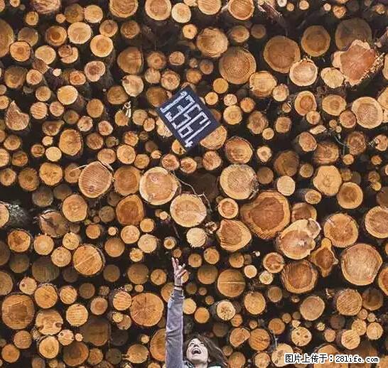 辞掉工作周游世界?现在他们在洗厕所…… - 游山玩水 - 甘南生活社区 - 甘南28生活网 gn.28life.com