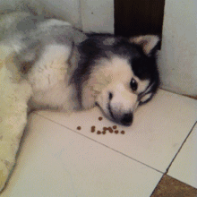 笑癫了!一女的怀孕三年未生,他终于忍不住了... - 娱乐八卦 - 甘南生活社区 - 甘南28生活网 gn.28life.com