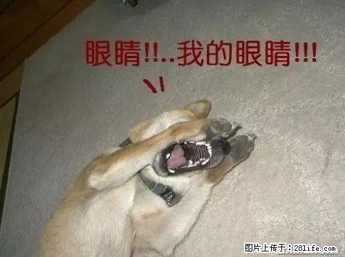 笑癫了!一女的怀孕三年未生,他终于忍不住了... - 娱乐八卦 - 甘南生活社区 - 甘南28生活网 gn.28life.com