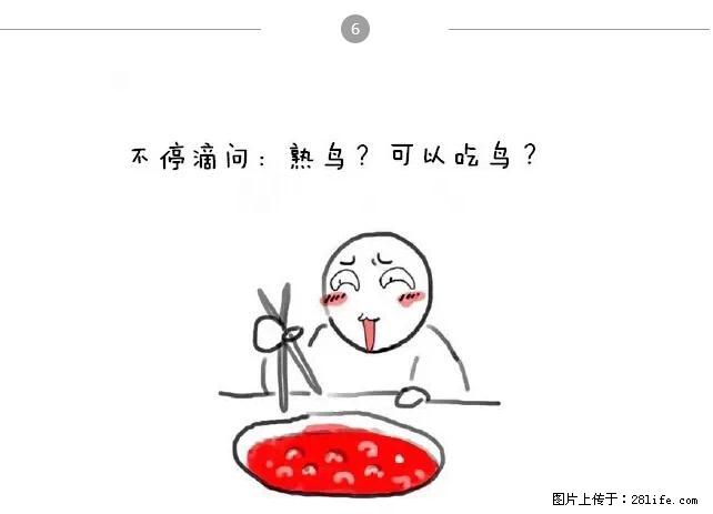 千万不要和这9种哈卵一起吃火锅! - 美食天地 - 甘南生活社区 - 甘南28生活网 gn.28life.com
