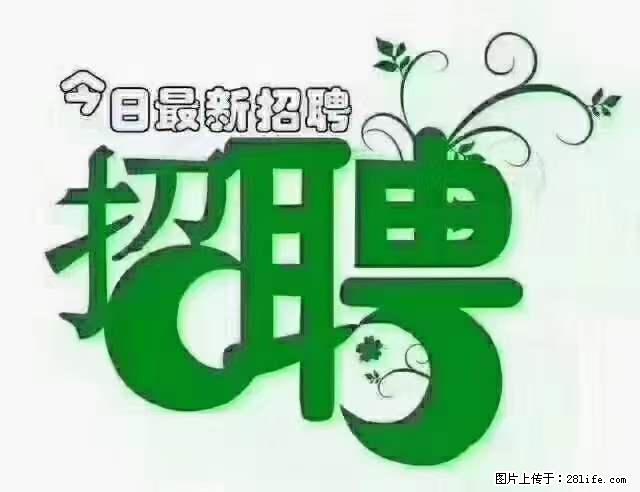 【招聘摄像师】待遇:试用期6000元/月,转正7000元/月+五险一金+餐补+节日福利+奖金 - 职场交流 - 甘南生活社区 - 甘南28生活网 gn.28life.com