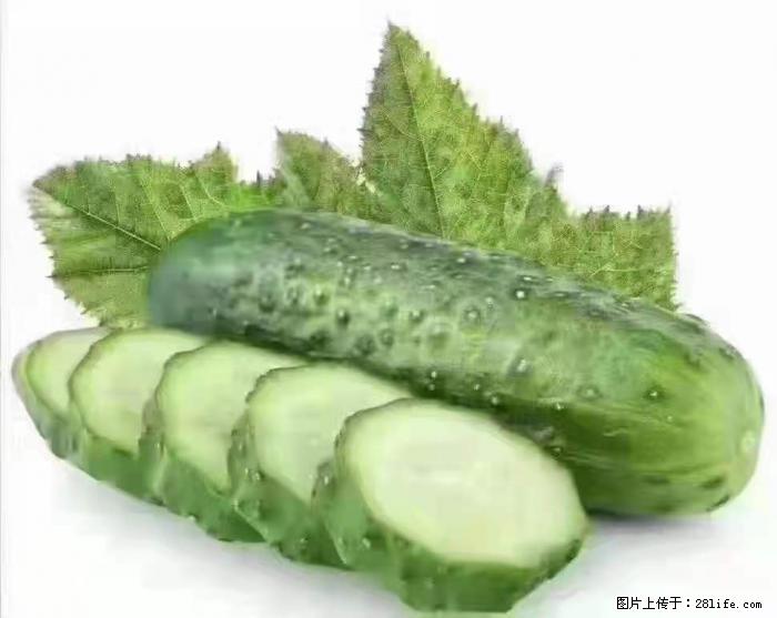 【生活小常识】吃黄瓜的好处 - 生活百科 - 甘南生活社区 - 甘南28生活网 gn.28life.com