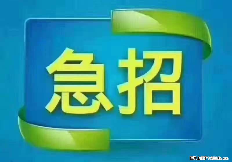 招出纳8000元/月，无证可以，要有相关经验，上海五险一金，包住，包工作餐，做六休一。 - 人事/行政/管理 - 招聘求职 - 甘南分类信息 - 甘南28生活网 gn.28life.com