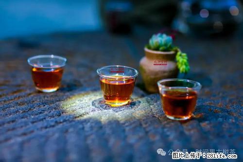 时间果百年古树2025年春红茶 - 购物交流 - 甘南生活社区 - 甘南28生活网 gn.28life.com