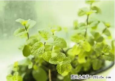 晕车、脚气、牙齿变黄、皮肤粗糙?学会这些三分钟搞定! - 甘南生活资讯 - 甘南28生活网 gn.28life.com