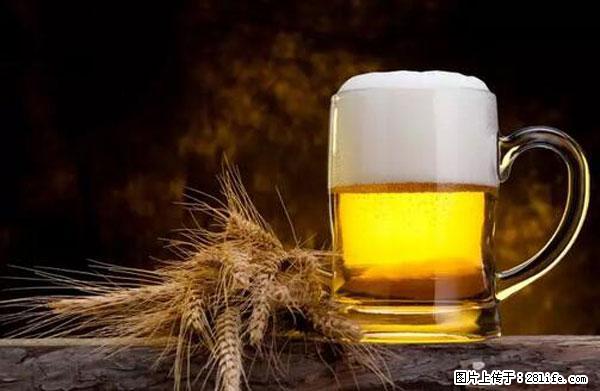 原来它这么毒,然而竟然满大街都是.... - 甘南生活资讯 - 甘南28生活网 gn.28life.com