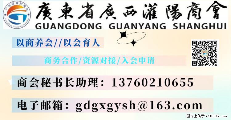 “粤灌文化 美好生活”油茶文化主题活动在广东深圳成功举办 - 甘南生活资讯 - 甘南28生活网 gn.28life.com