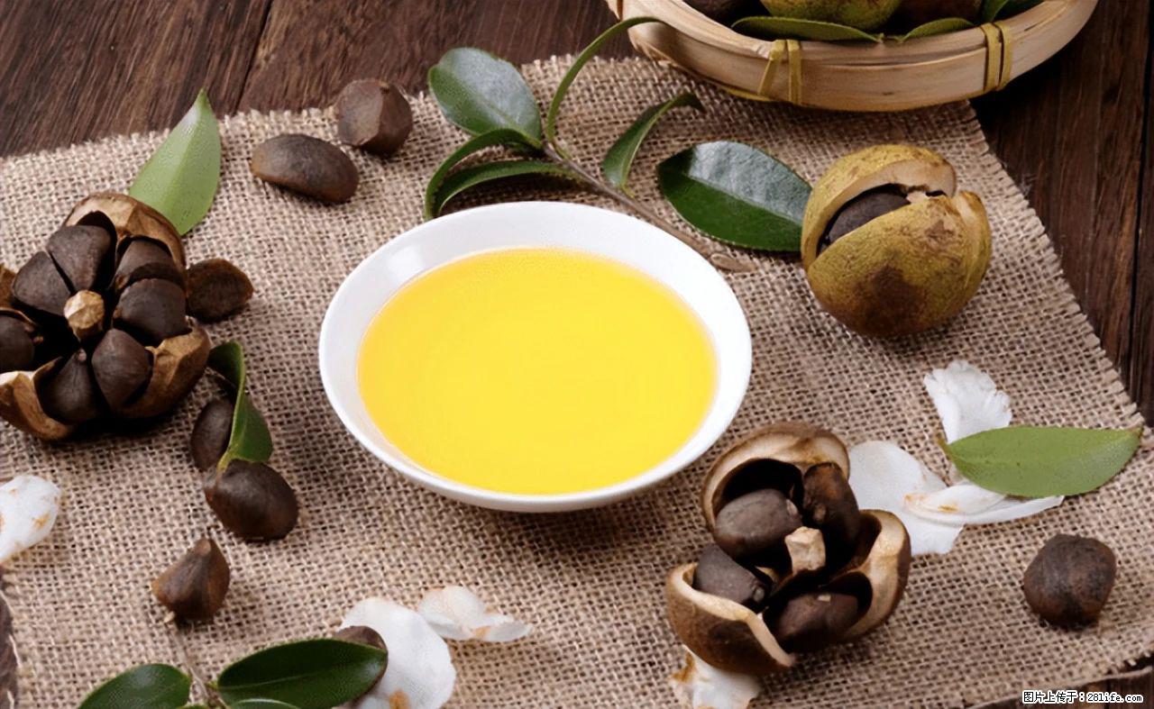 揭秘茶油的5大核心营养成分!被称为人体健康的“守护盾”! - 甘南生活资讯 - 甘南28生活网 gn.28life.com