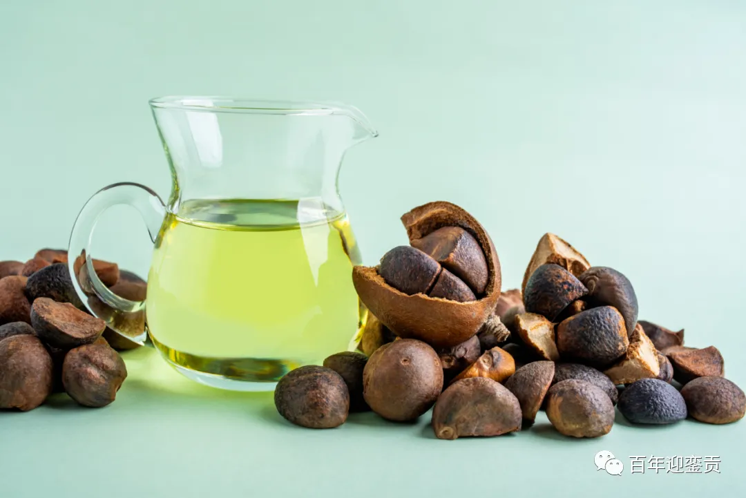 世界没有真相,只有认知,最好的食用油是中国的山茶油! - 甘南生活资讯 - 甘南28生活网 gn.28life.com