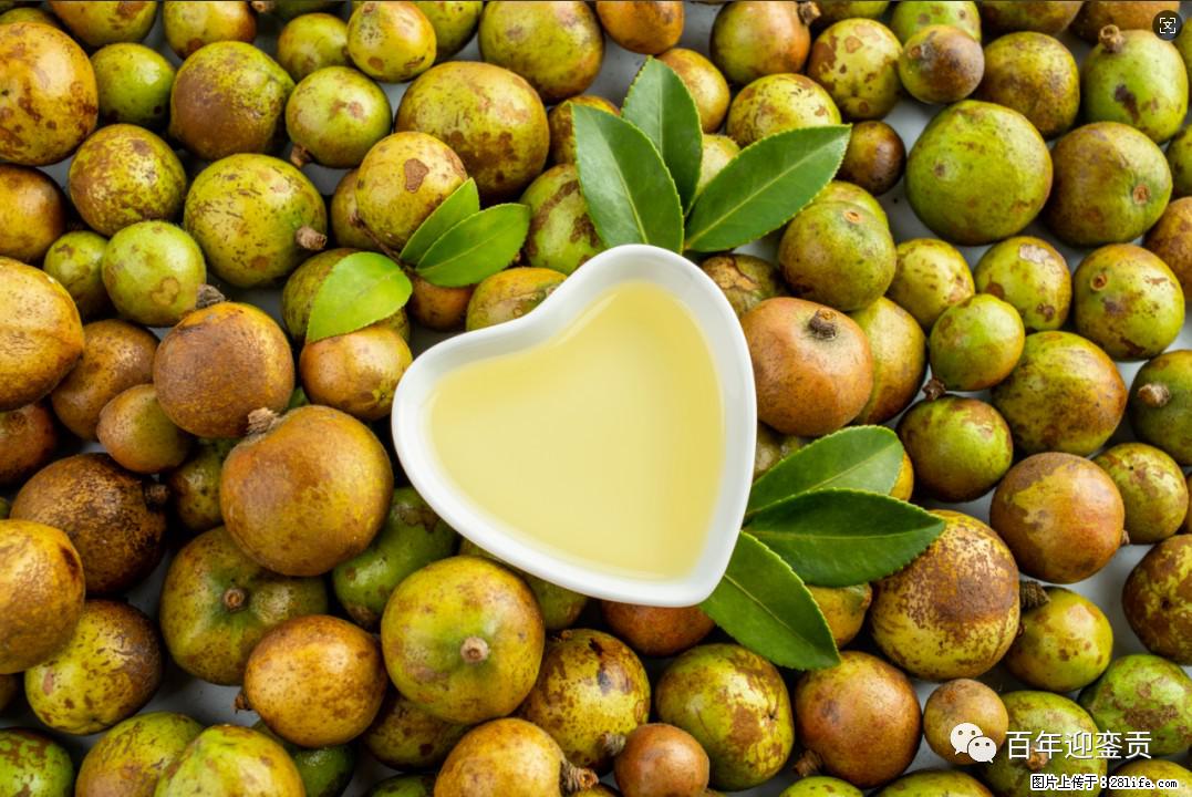 世界没有真相,只有认知,最好的食用油是中国的山茶油! - 甘南生活资讯 - 甘南28生活网 gn.28life.com