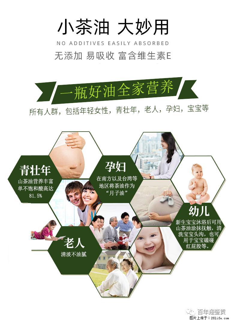 世界没有真相,只有认知,最好的食用油是中国的山茶油! - 甘南生活资讯 - 甘南28生活网 gn.28life.com