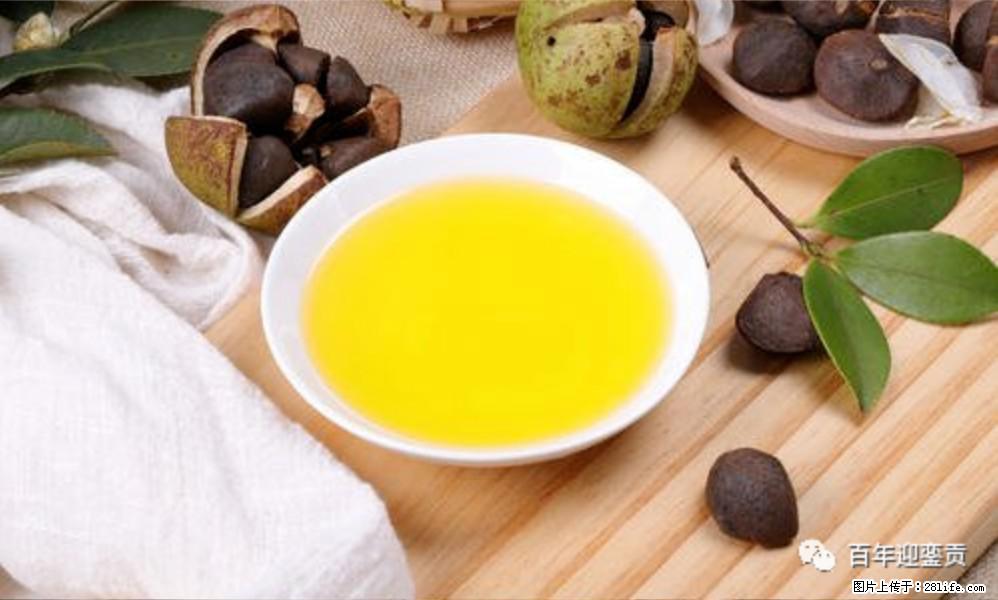 世界没有真相,只有认知,最好的食用油是中国的山茶油! - 甘南生活资讯 - 甘南28生活网 gn.28life.com