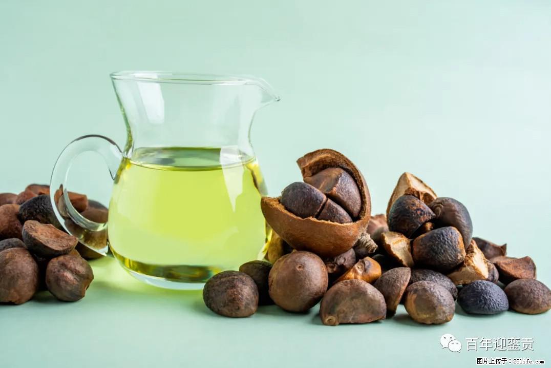 世界没有真相，只有认知，最好的食用油是中国的山茶油！ - 甘南生活资讯 - 甘南28生活网 gn.28life.com