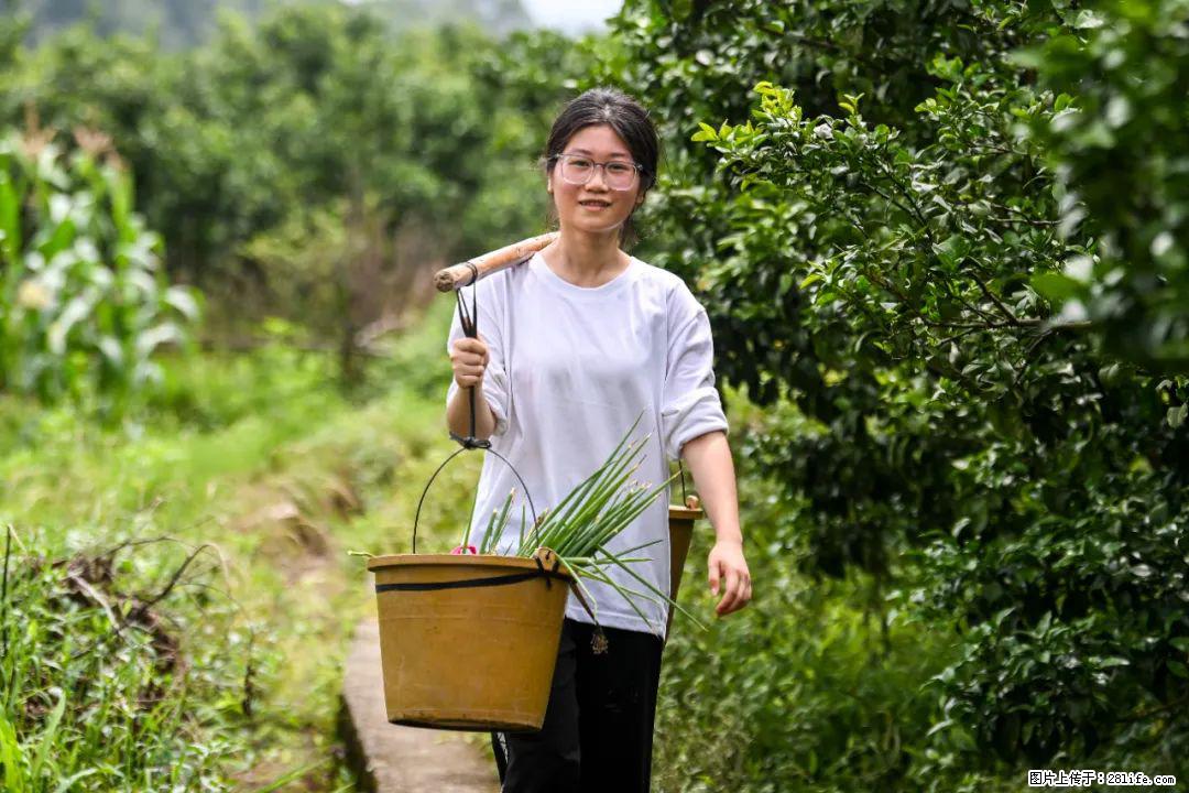 全网追的“扁担女孩”,找了一份暑假工,时薪12元 - 甘南生活资讯 - 甘南28生活网 gn.28life.com