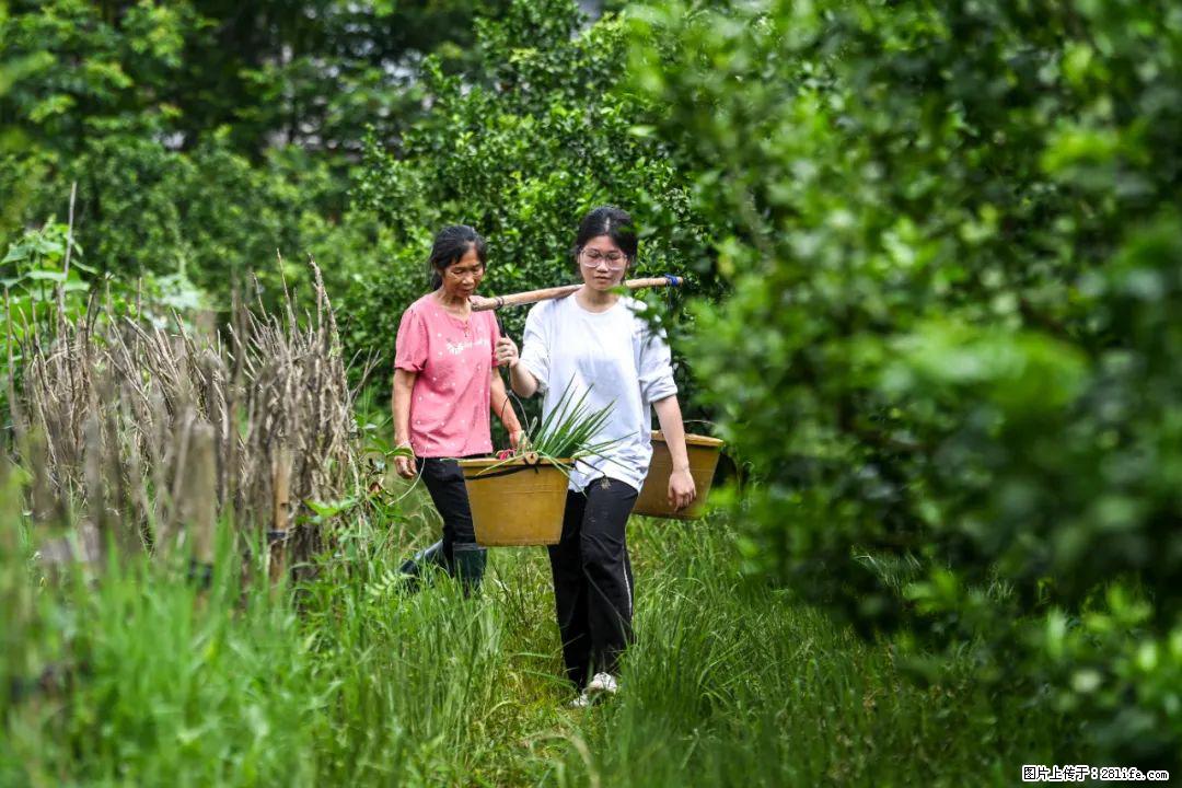 全网追的“扁担女孩”,找了一份暑假工,时薪12元 - 甘南生活资讯 - 甘南28生活网 gn.28life.com