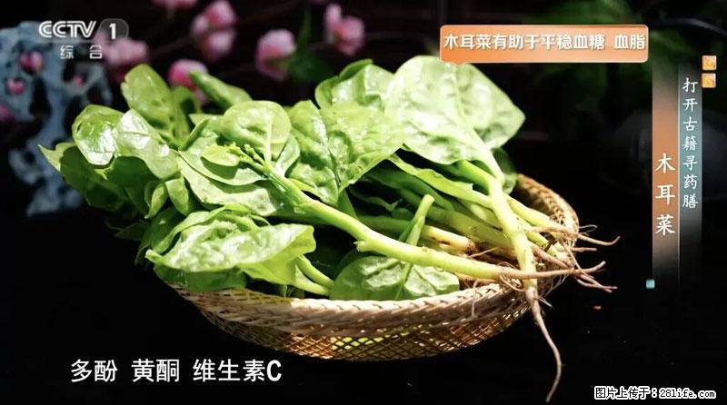 比牛奶补钙还厉害！凉血解毒、稳血糖...这菜冬天必吃，很多人却当草 - 甘南生活资讯 - 甘南28生活网 gn.28life.com