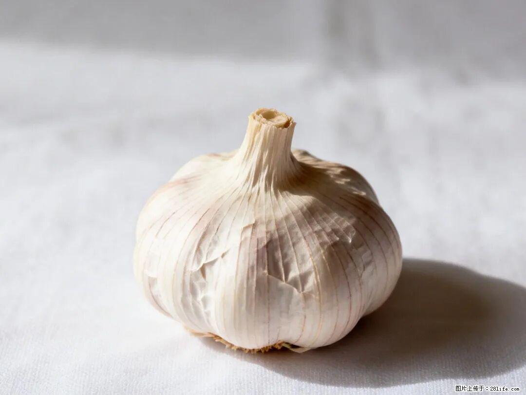 关于大蒜，除了“天然抗生素”，这4个谣言更该警惕! - 甘南生活资讯 - 甘南28生活网 gn.28life.com